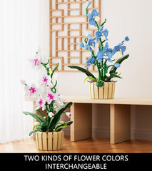 QLT QIAOLETONG ready-to-assemble set, ideal gift for orchid lovers