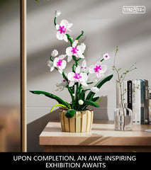 QLT QIAOLETONG orchid building set as stylish desk accent