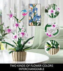 QLT QIAOLETONG orchid stems and blooms for customizable lifelike display