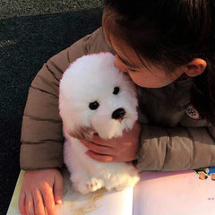 QREZAA Maltese plush with expressive face, inviting gentle play and comforting presence.