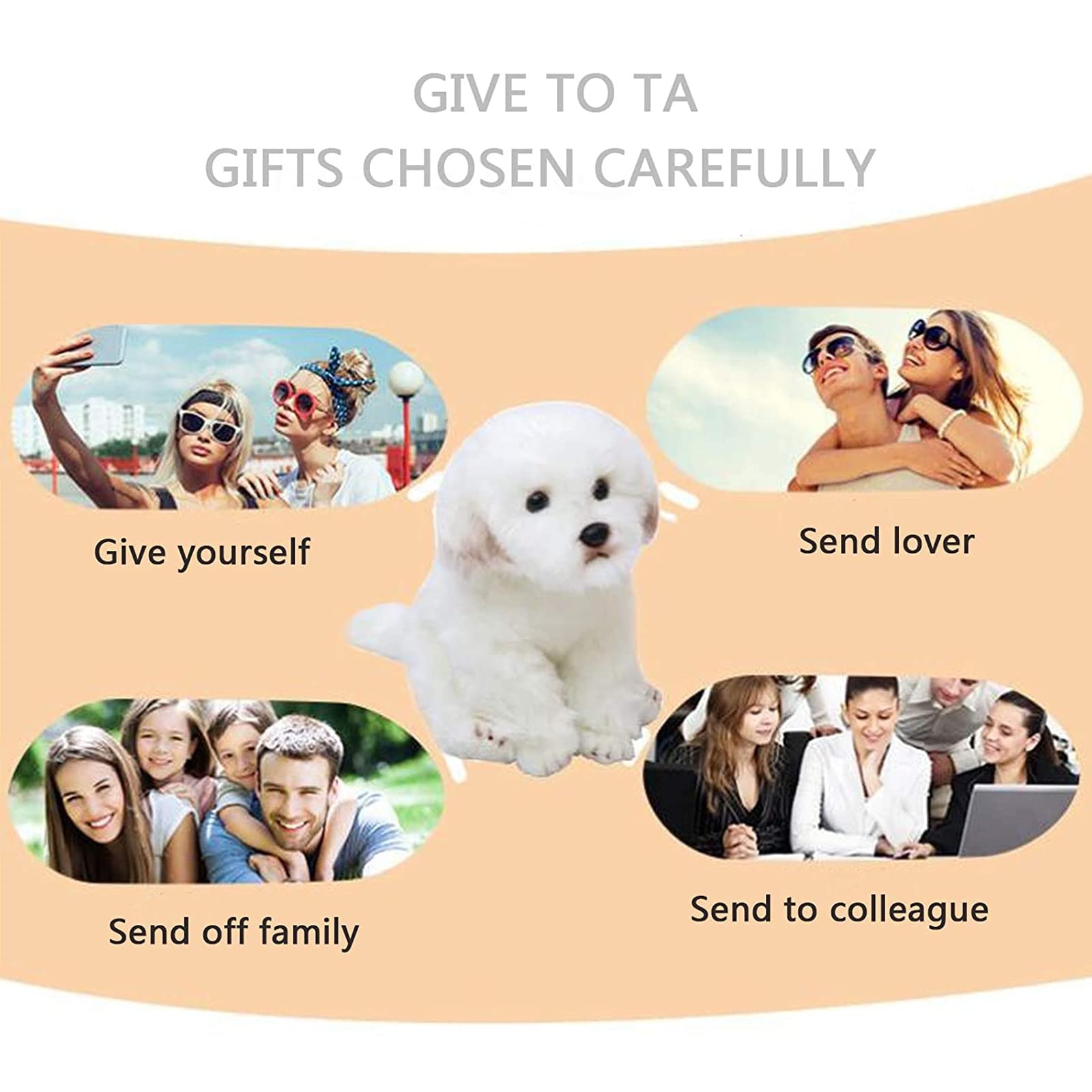 QREZAA gift plush Maltese dog for kids or puppy lovers, a versatile keepsake.