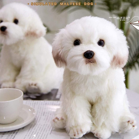 QREZAA Maltese dog plush 14-inch size, perfect for hugging and display.
