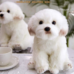 QREZAA Maltese dog plush 14-inch size, perfect for hugging and display.