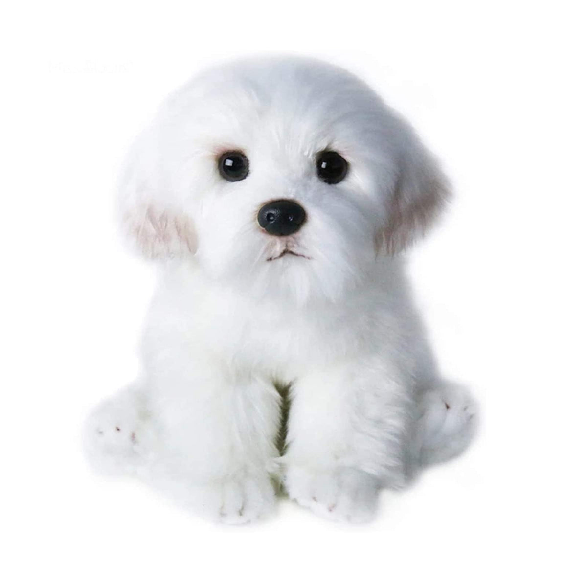 QREZAA Maltese dog plush front view, a lifelike companion for kids and adults.