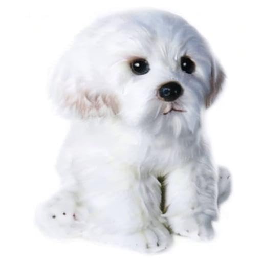 QREZAA care guide: hand-wash or wipeable, preserving softness after play.