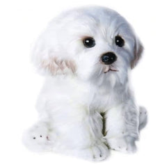 QREZAA care guide: hand-wash or wipeable, preserving softness after play.