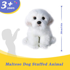 QREZAA white plush Maltese, fluffy fur and sparkling eyes for cozy decor.