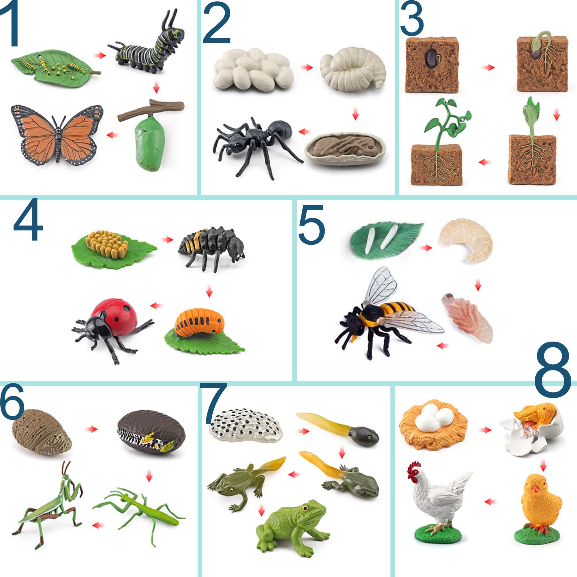 QuarenDen Life Cycle Bee figurine for exploring pollination concepts through play