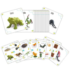 QuarenDen Life Cycle Rooster figurine for role-play and storytelling in science corners