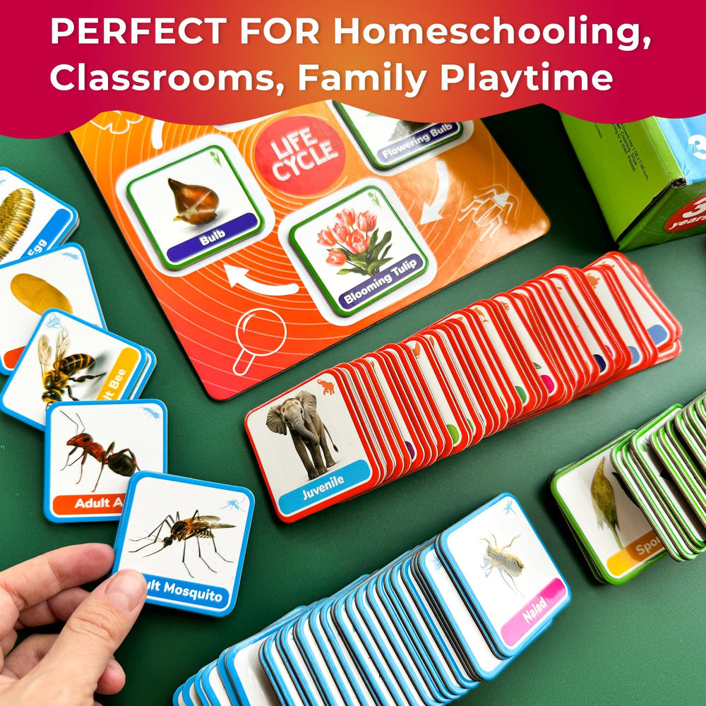 QUOKKA Animal card set offers quick reference for animal traits during play sessions.