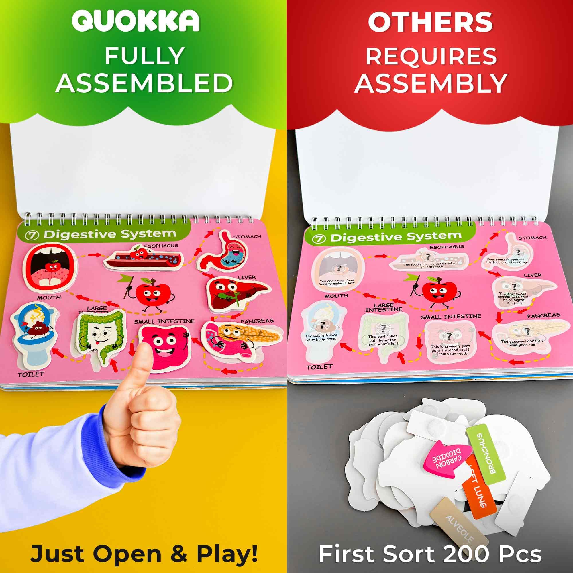 QUOKKA brain and organs page invites hands-on exploration for curious kids