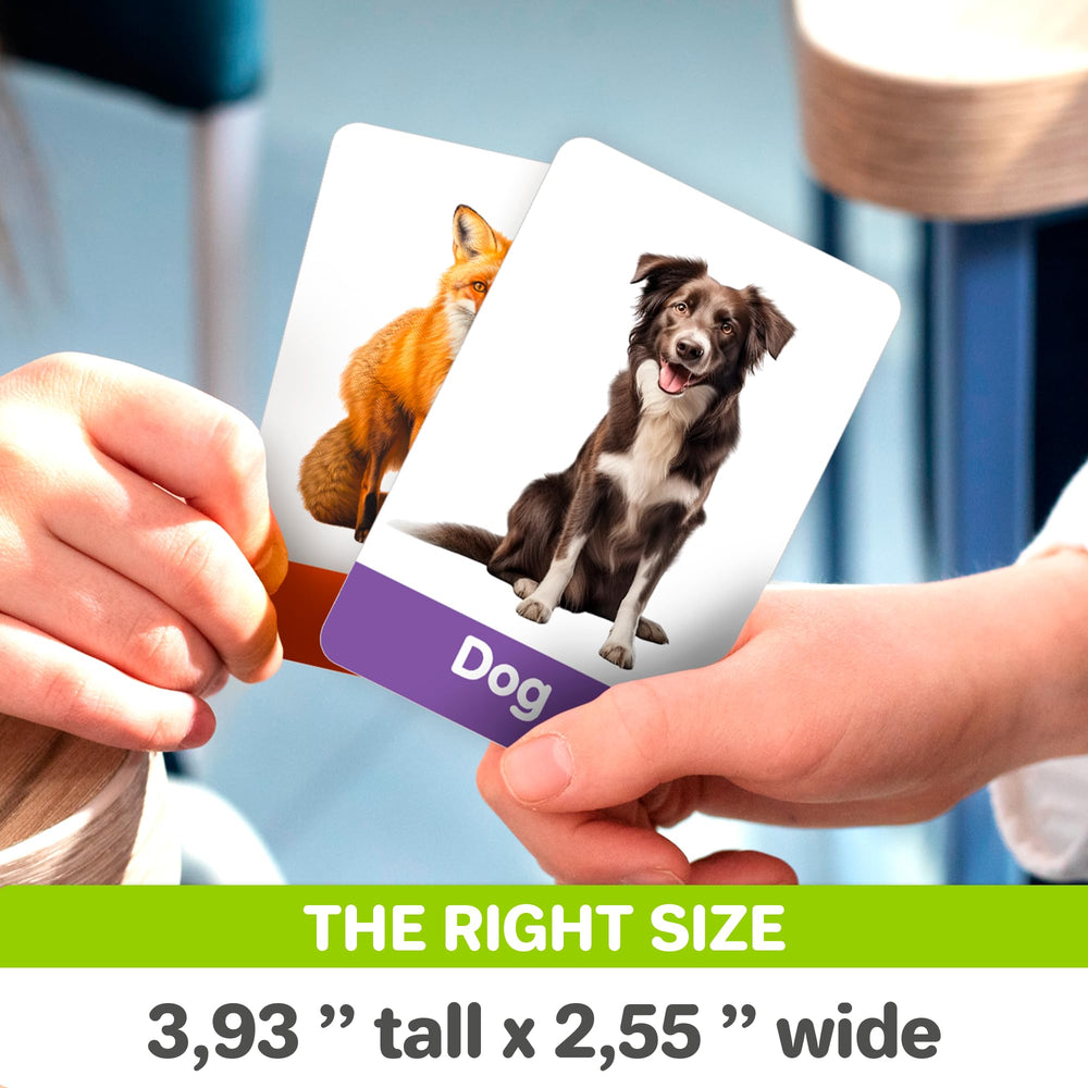QUOKKA colors and shapes cards help kids identify hues and shapes with vivid illustrations