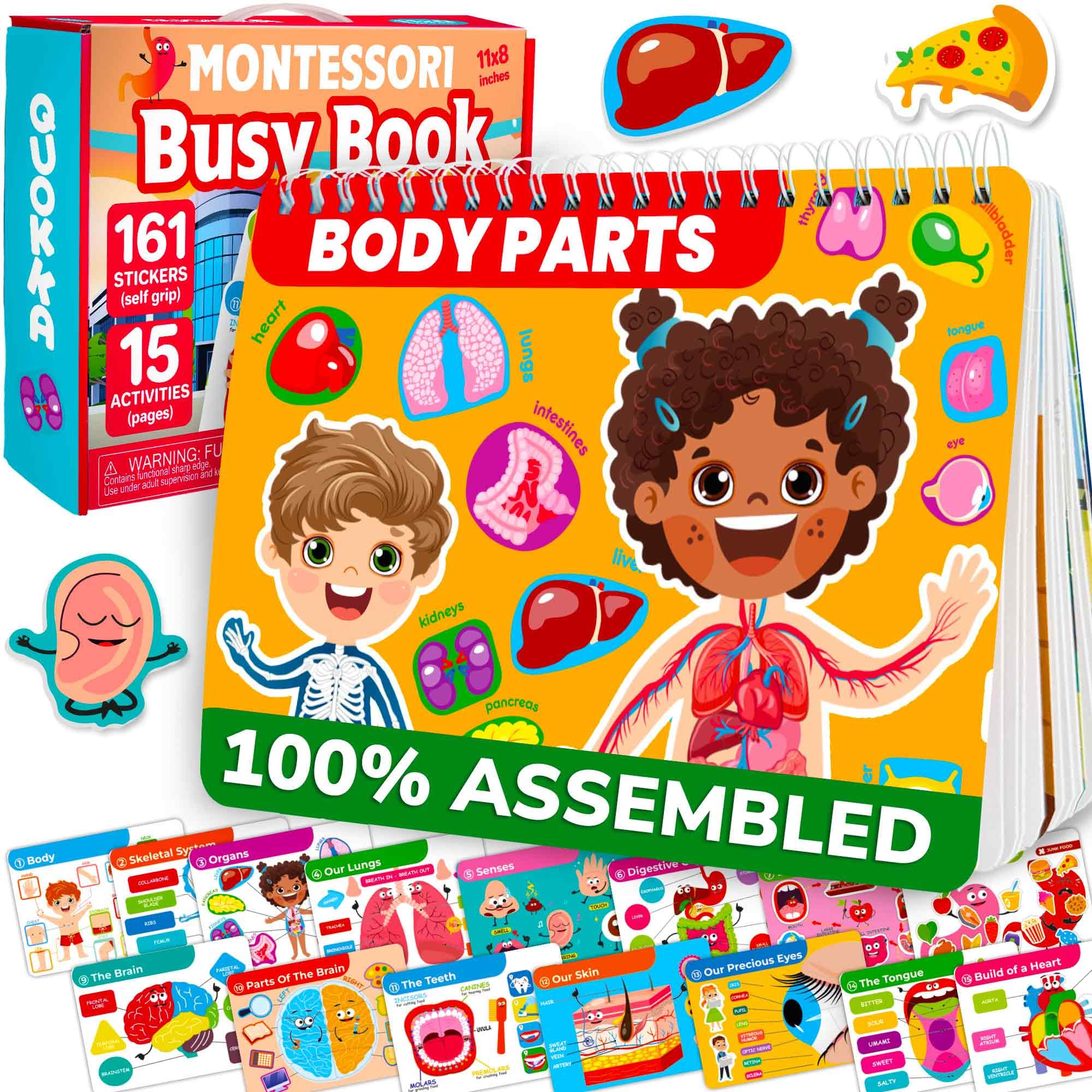 QUOKKA Human Body Busy Book cover featuring colorful anatomy themes to engage young learners