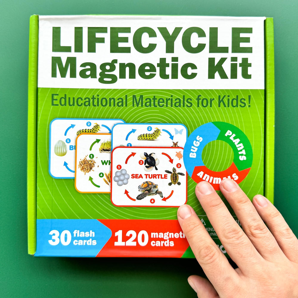 QUOKKA Learning station tools provide tactile, magnetic activities to strengthen early science skills.