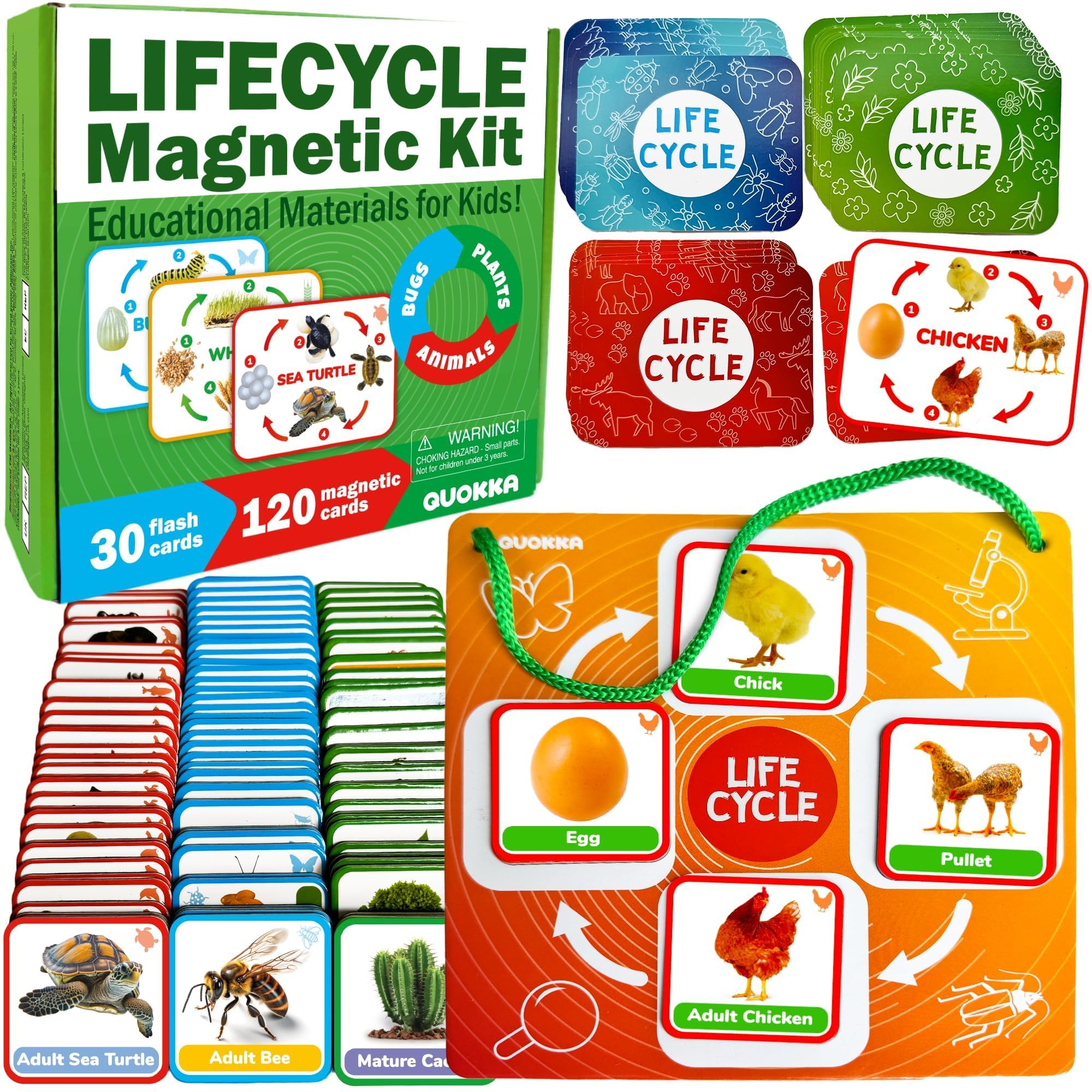 QUOKKA Life Cycle Kit Montessori visual demonstrates lifecycle concepts with magnetic cards for curious toddlers.