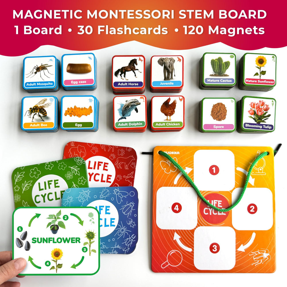 QUOKKA Magnetic Cards set reveals animals, plants, and bugs for hands-on exploration.