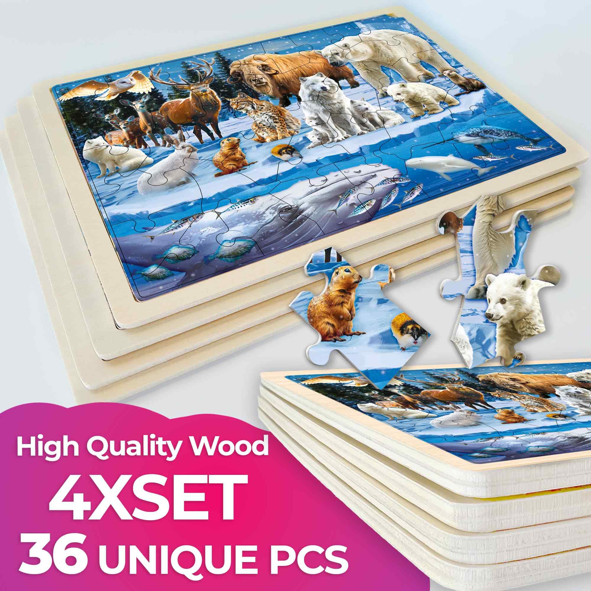 QUOKKA polar and tropical regions puzzle invites imaginative exploration