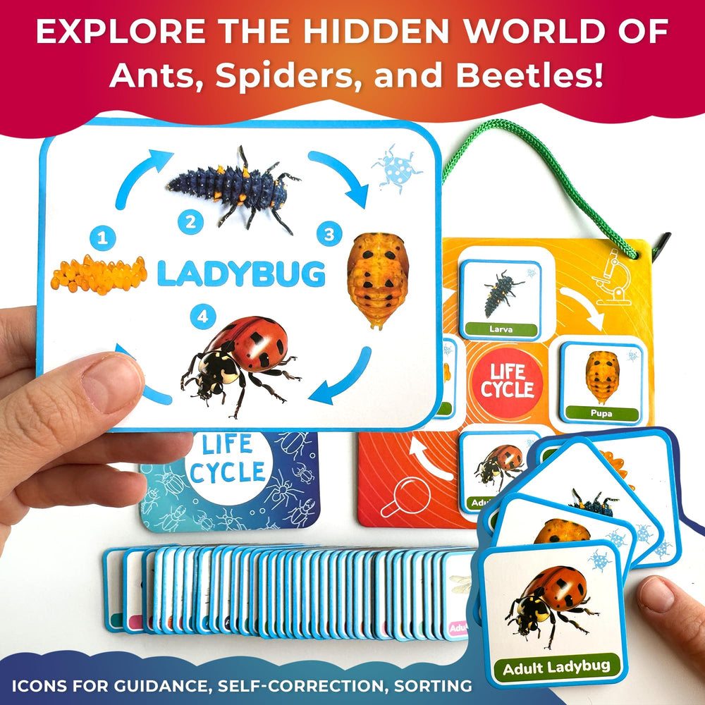 QUOKKA Preschool classroom tools support a structured science corner for kids.