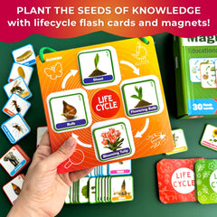 QUOKKA Toddler Science activities invite early learners to explore simple phenomena through play.