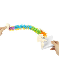 QWORK color coded spine aids quick visual differentiation of cervical to sacral sections