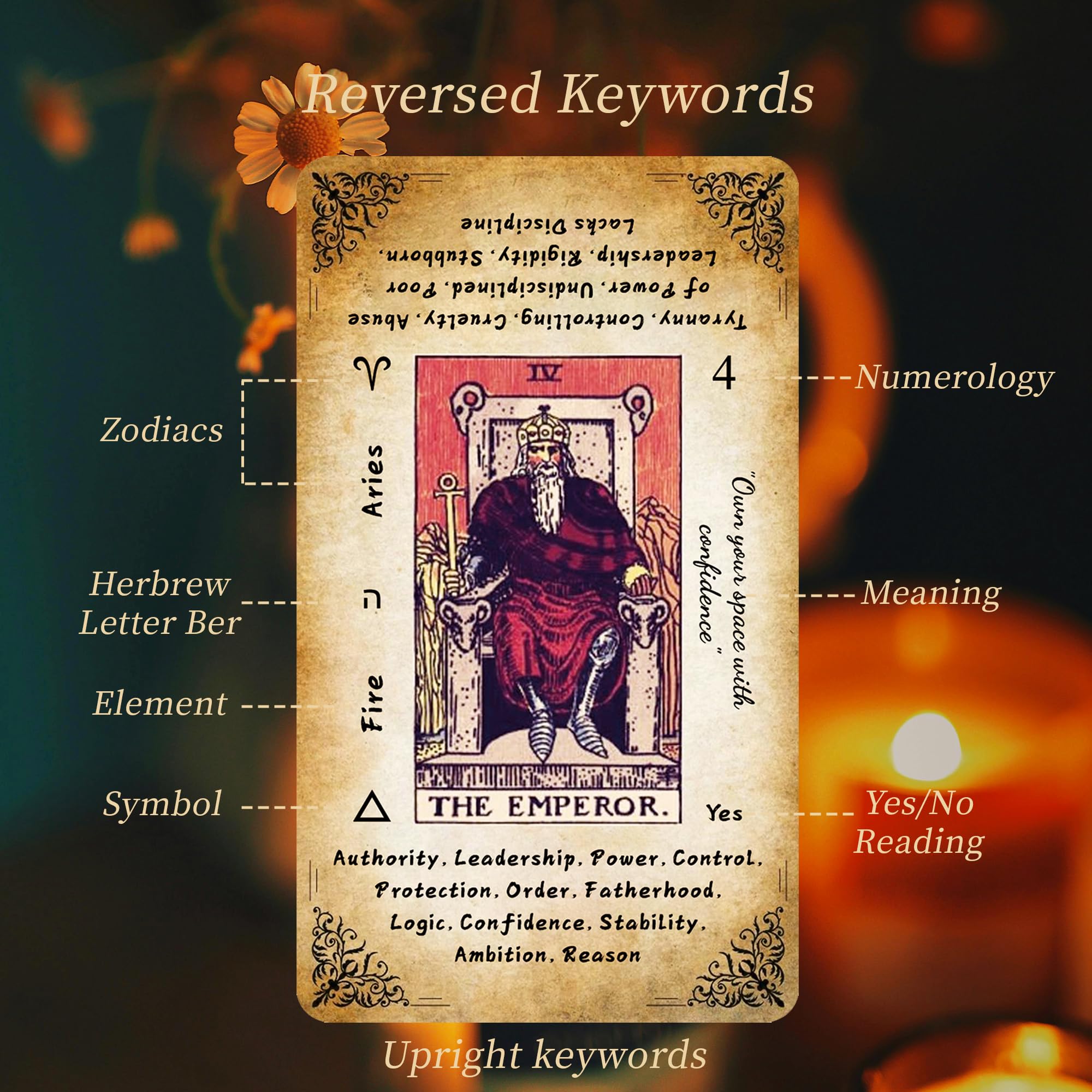 Qymagicz tarot guide book adding traditional symbols with a rustic feel.