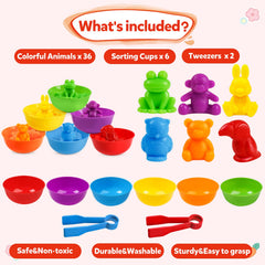 RAEQKS tweezers set promotes precise pincer grasp during sorting play.