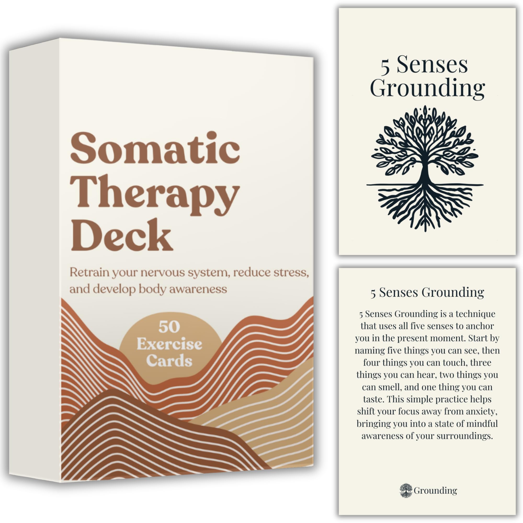 Raptor Studio Somatic Therapy Cards cover in a compact box for daily calm.
