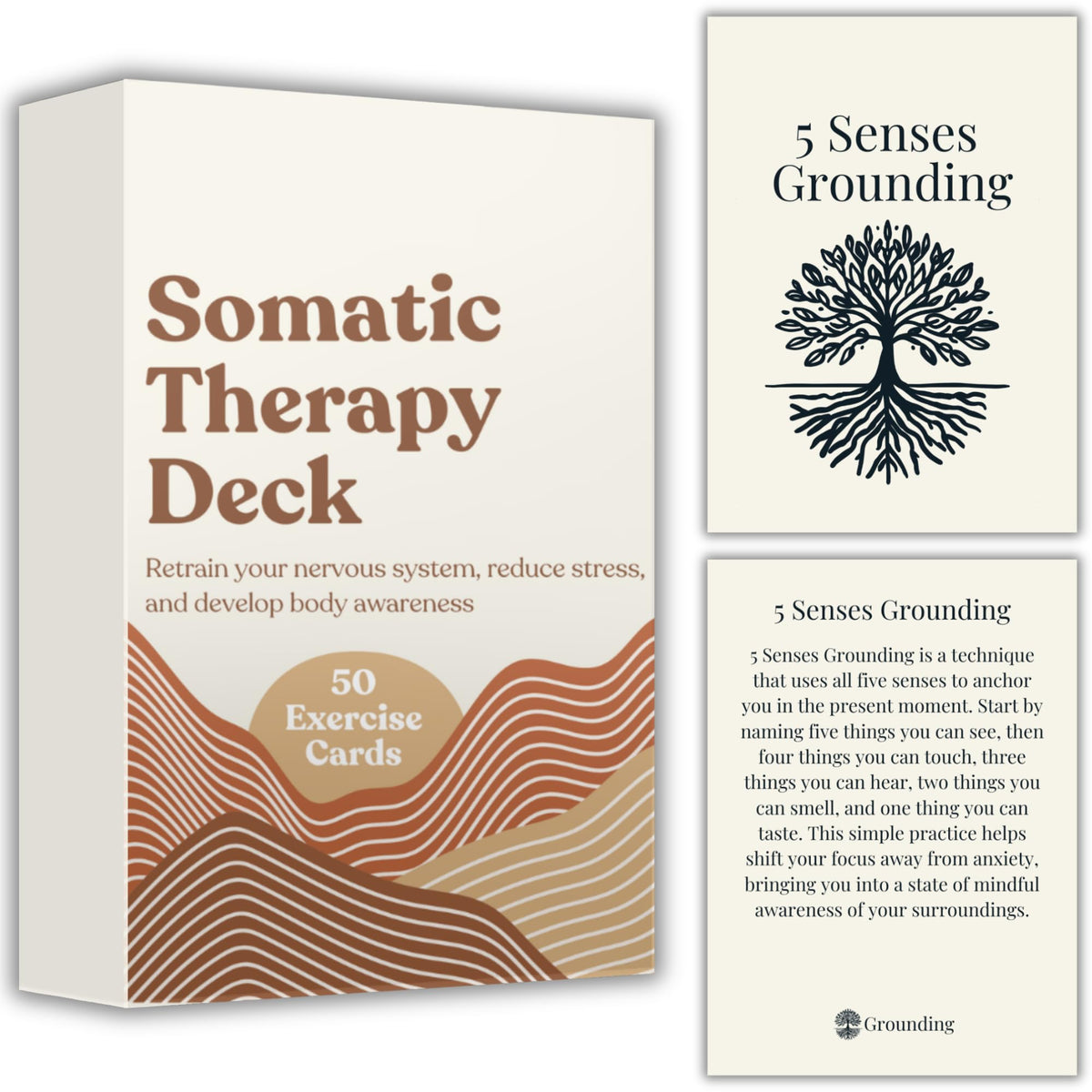 Raptor Studio Somatic Therapy Cards cover in a compact box for daily calm.