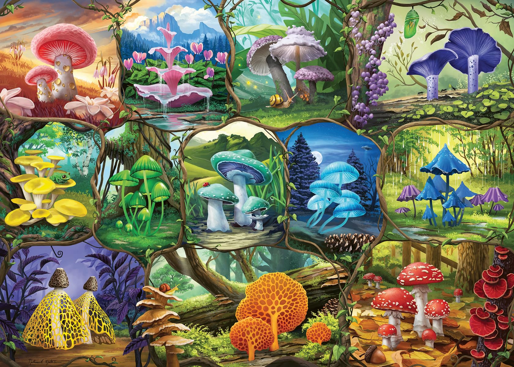 Ravensburger Beautiful Mushrooms puzzle cover, vibrant collage for immersive puzzling.