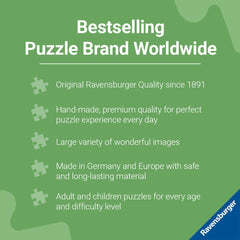 Ravensburger Circle of Colors Astrology puzzle assembled view emphasizing calming, engaging pastime