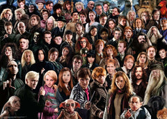Ravensburger Harry Potter Challenge with iconic characters for fan-friendly assembly