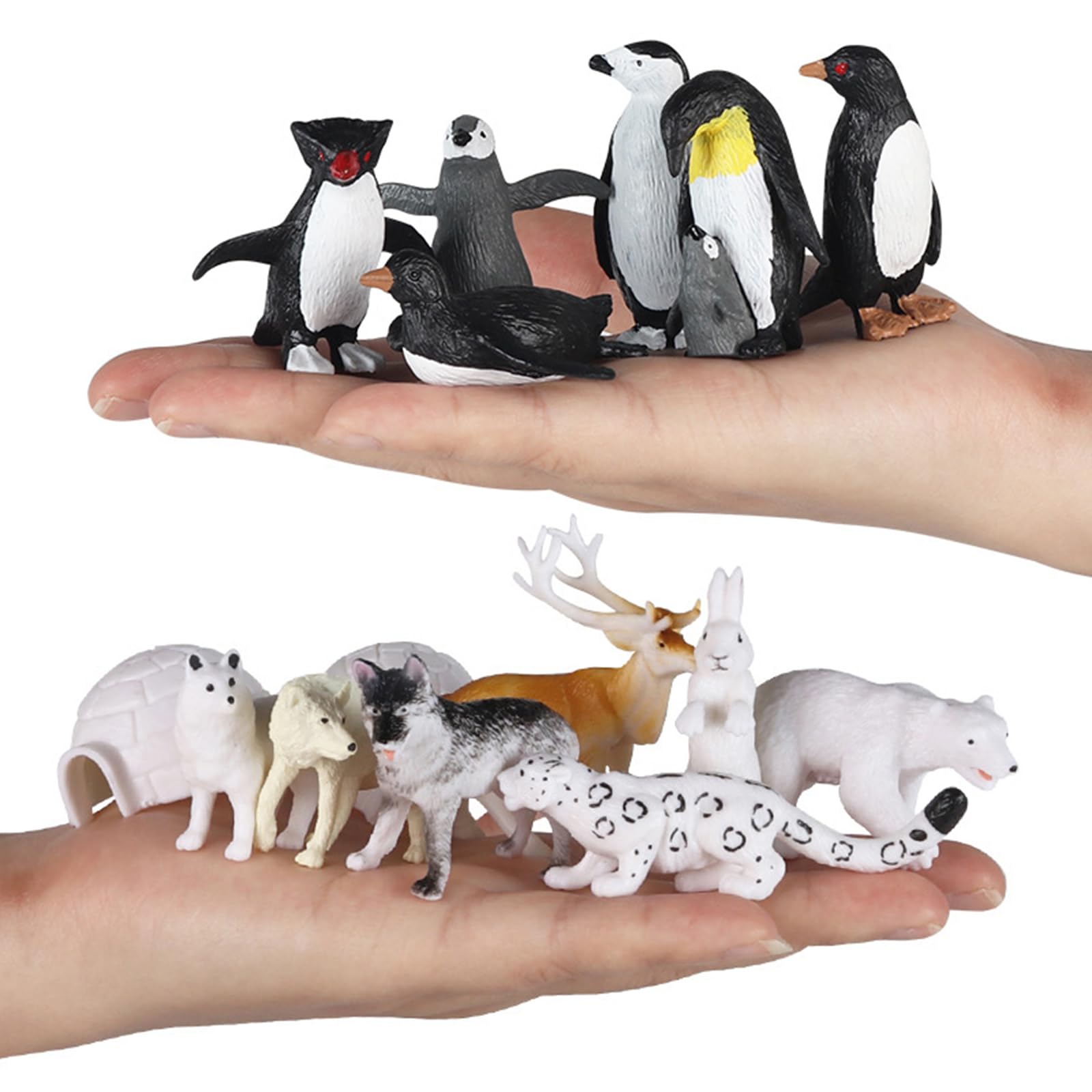 RCOMG Arctic animal gift pack ideal for birthdays and keepsakes.