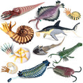 RCOMG Anomalocaris figurine for imaginative sea life play and classroom displays.