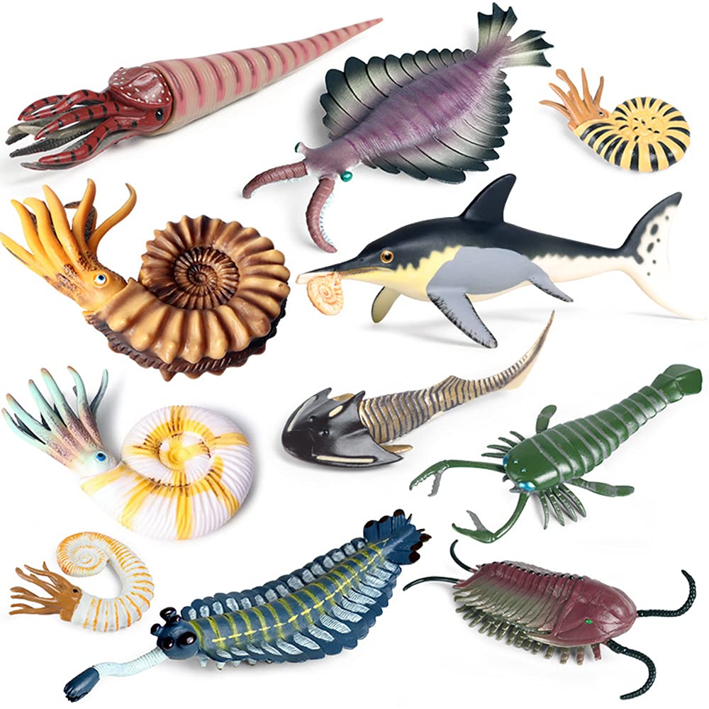 RCOMG Anomalocaris figurine for imaginative sea life play and classroom displays.