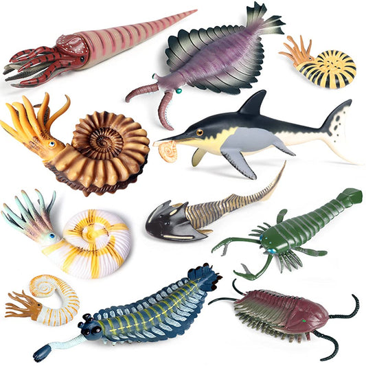 RCOMG Anomalocaris figurine for imaginative sea life play and classroom displays.