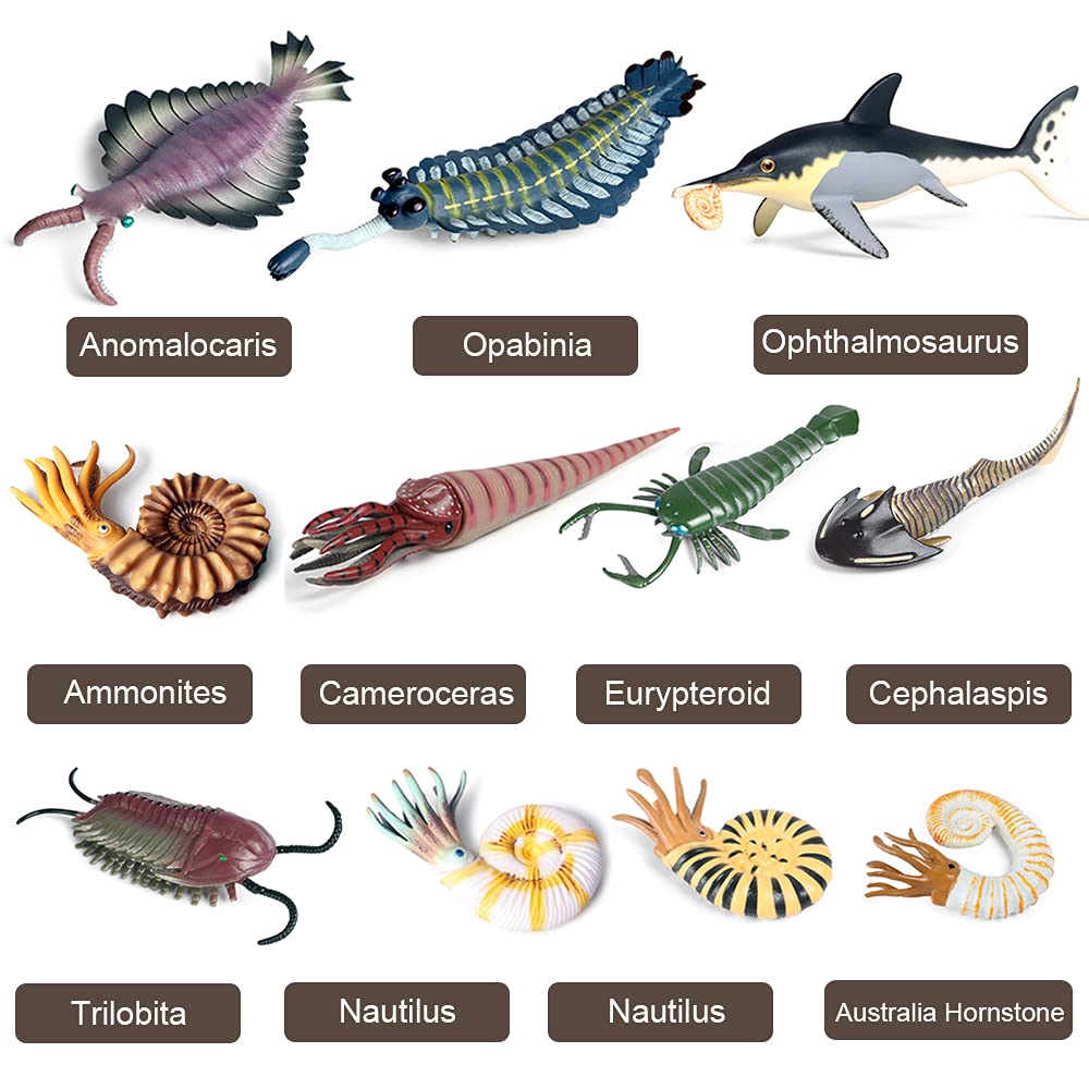 RCOMG Opabinia figurine ideal for science corners and storytelling sessions.
