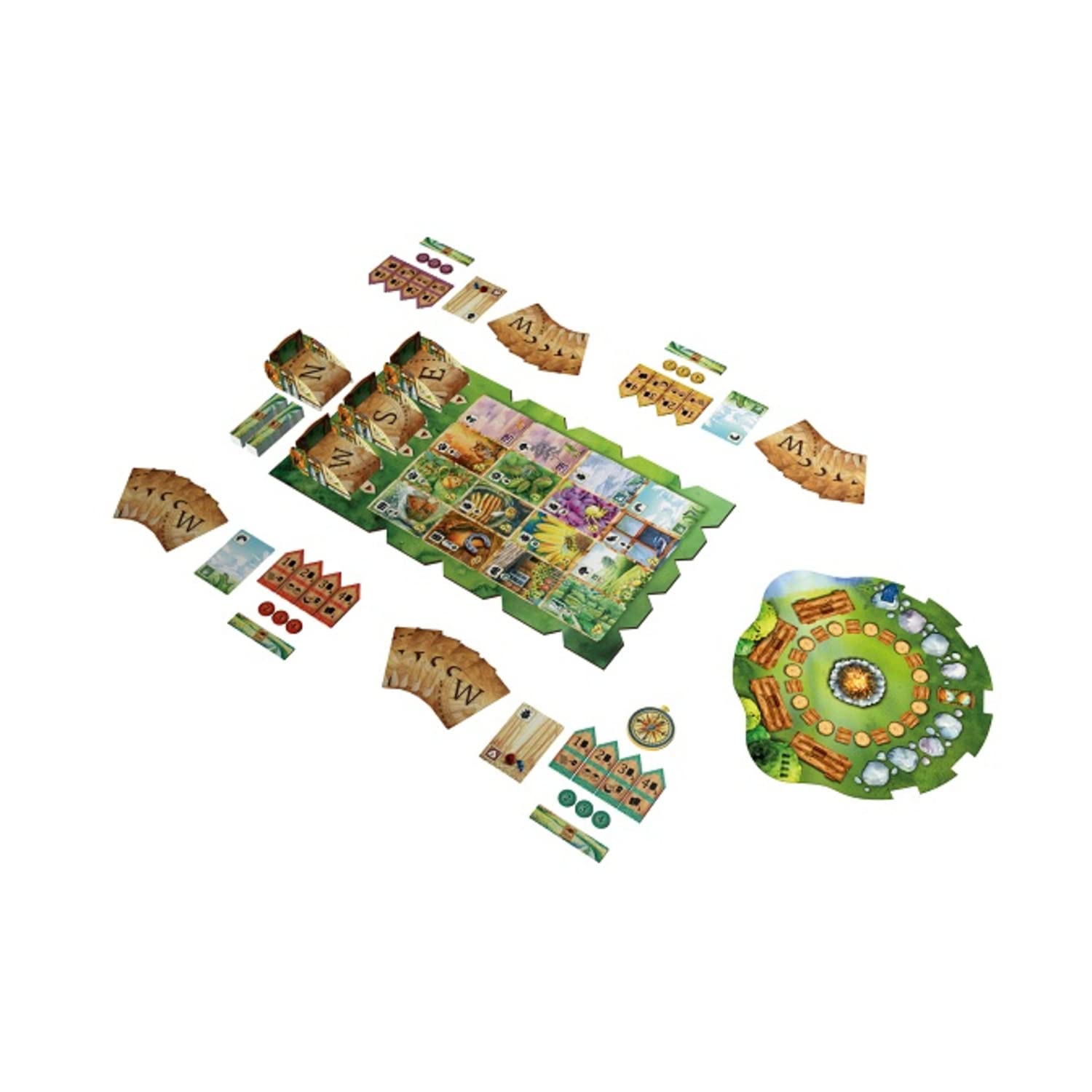 Beautiful watercolor cards featuring flora and fauna to inspire nature observations.