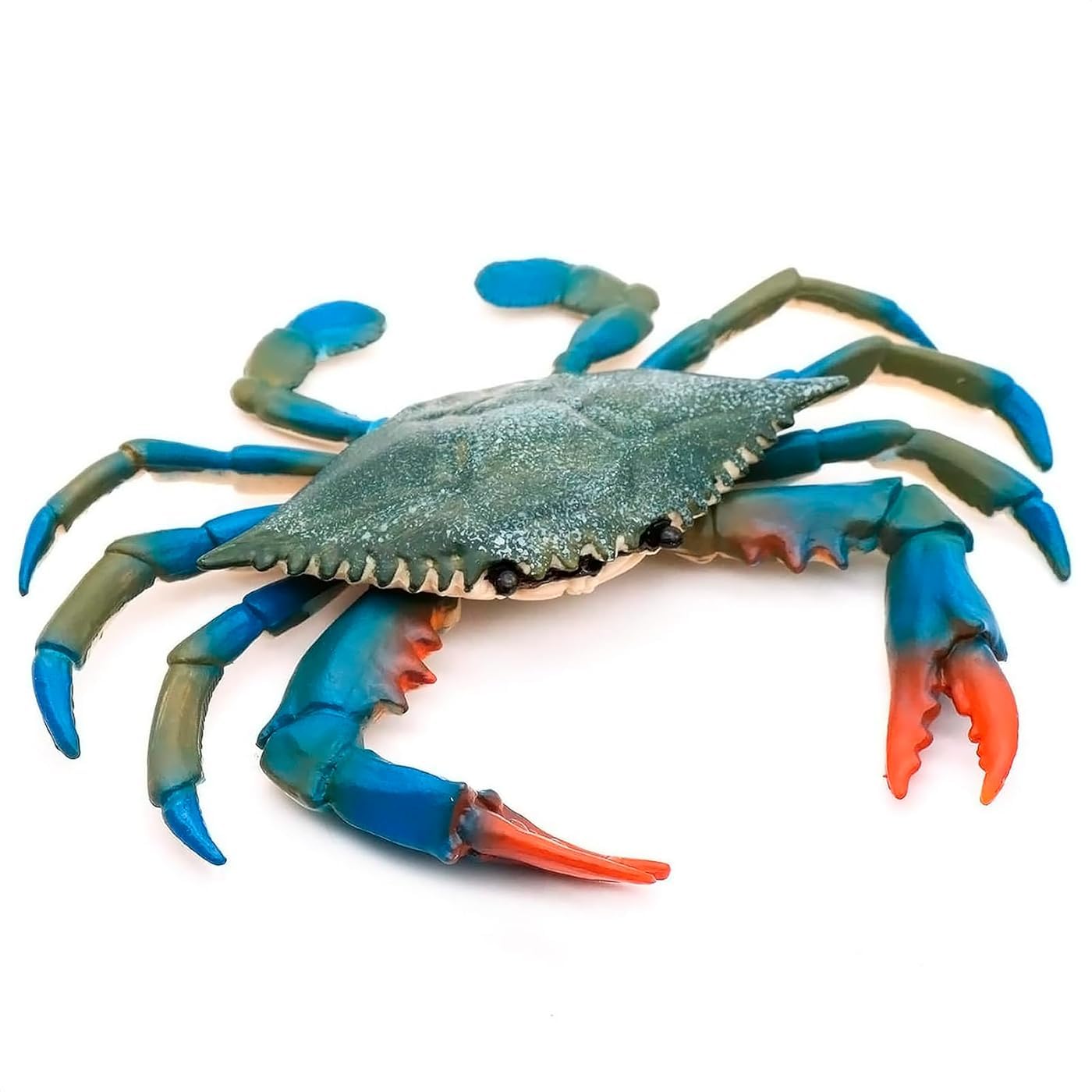 Reluen crab figure: realistic blue crab for nautical decor and durable display.
