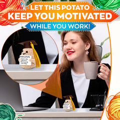 Reluen potato plush with glasses creates cozy, lighthearted shelf energy.