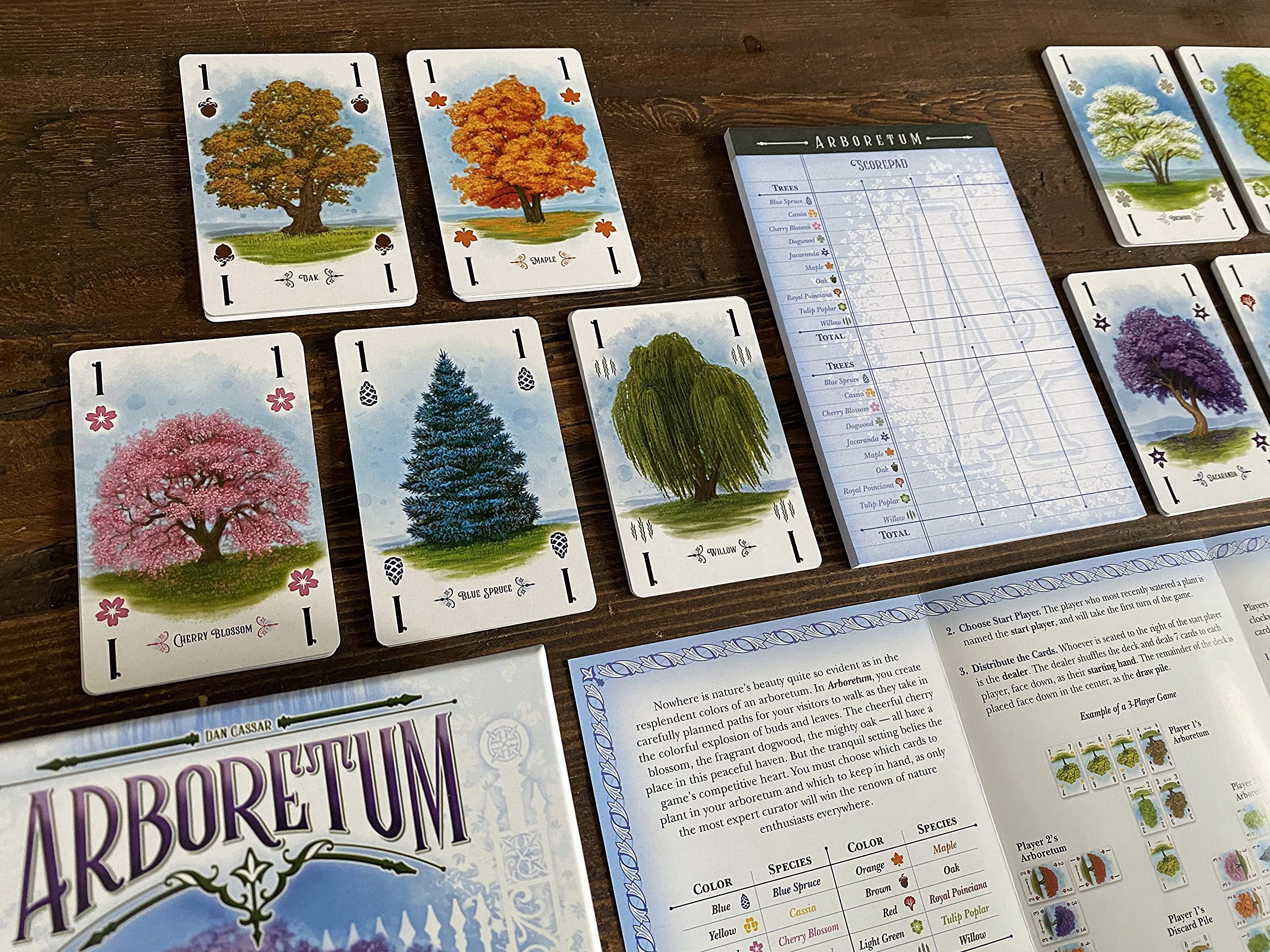 Renegade Arboretum garden layout on table highlights spatial strategy.