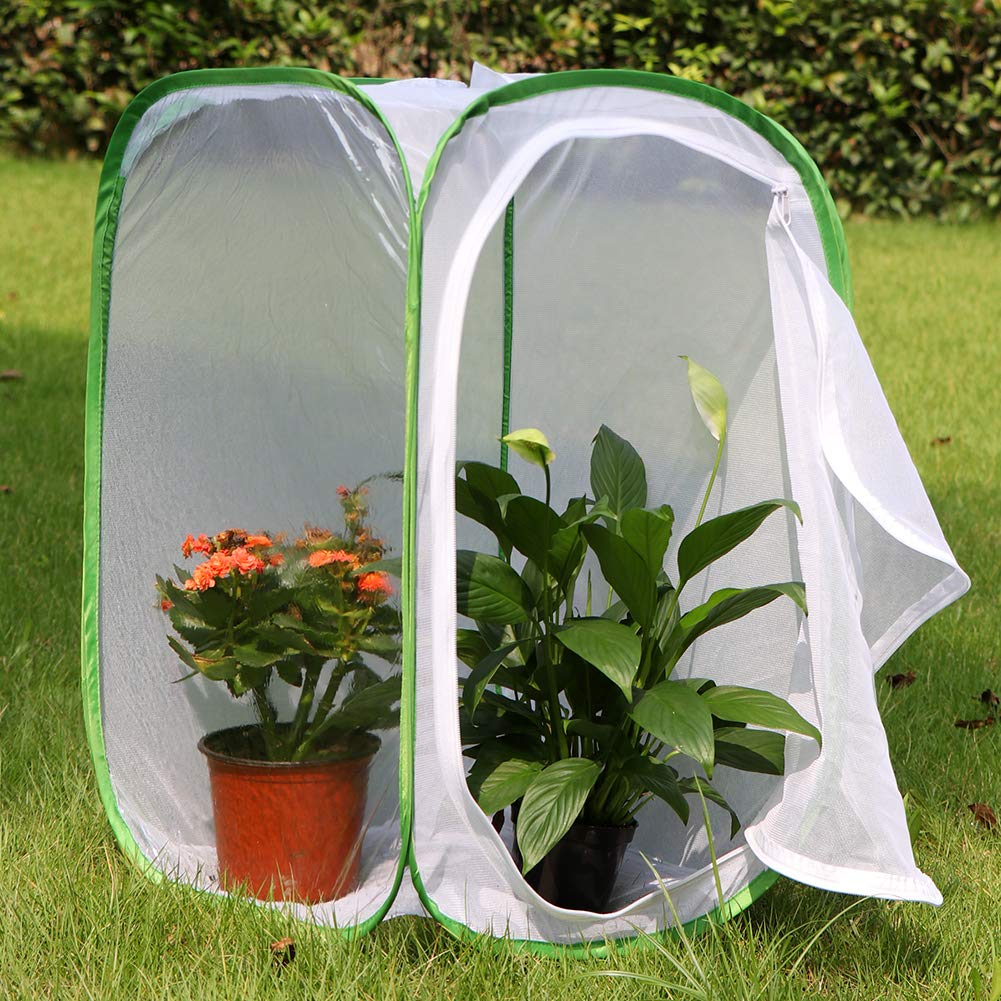 RESTCLOUD butterfly enclosure pops up flat for easy storage after use