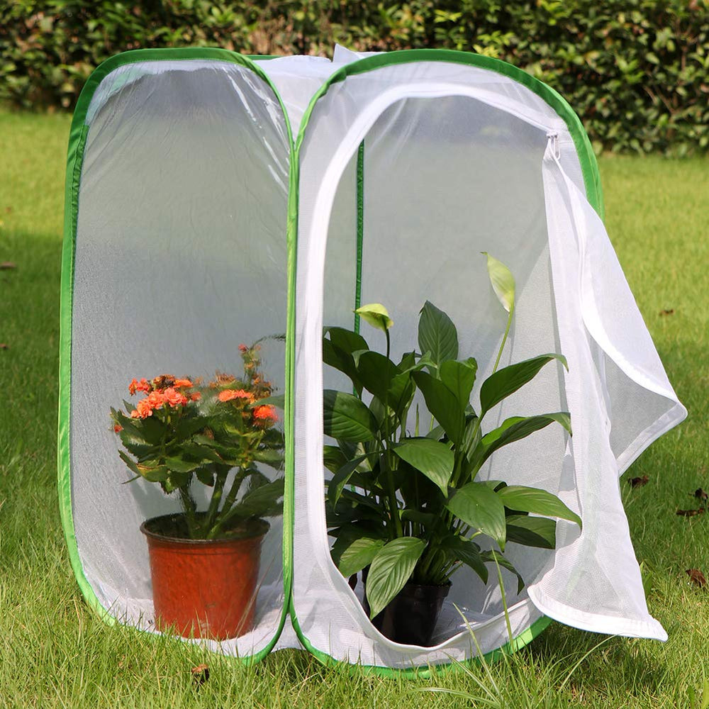 RESTCLOUD butterfly enclosure pops up flat for easy storage after use
