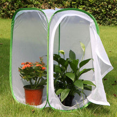 RESTCLOUD butterfly enclosure pops up flat for easy storage after use