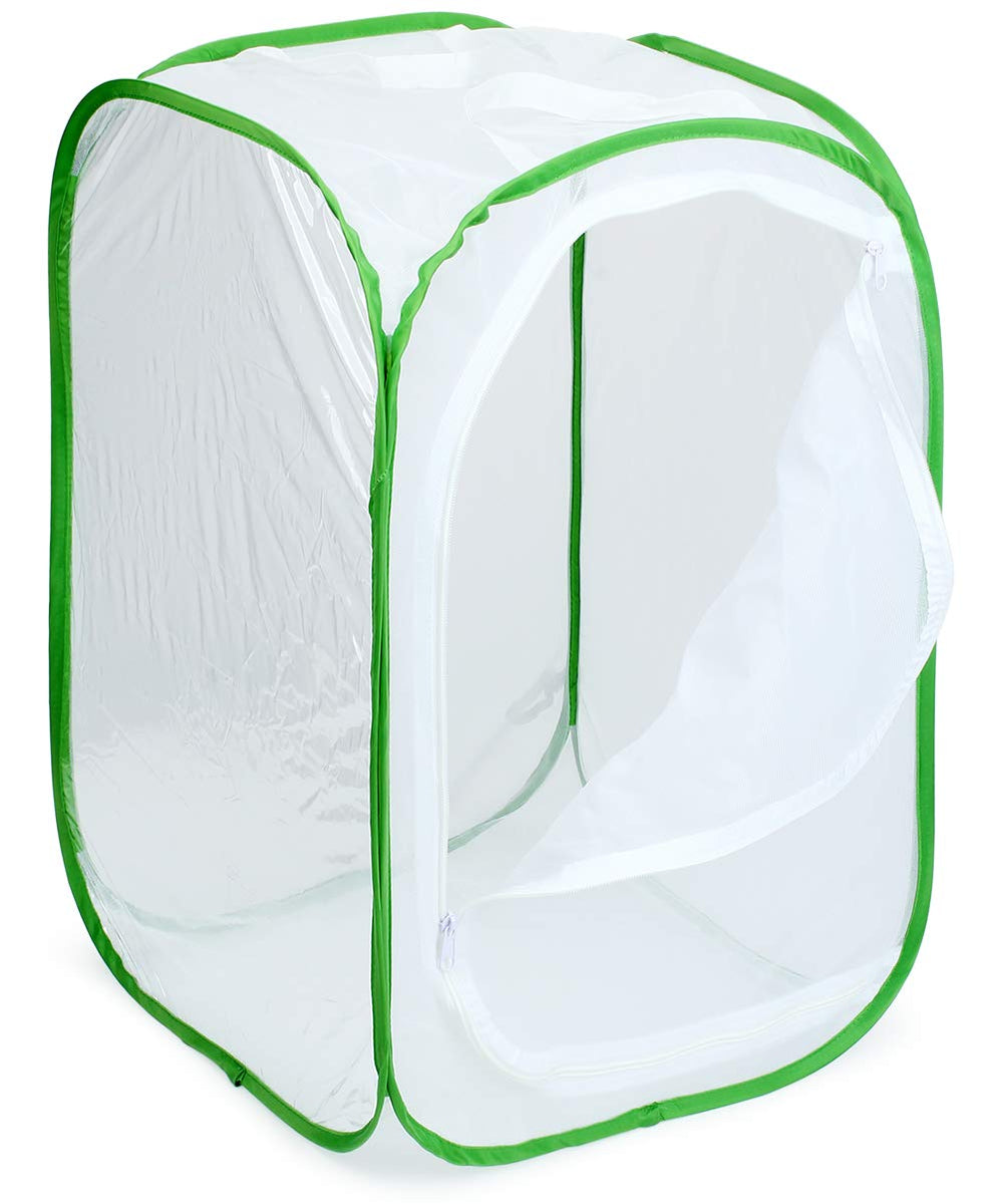 RESTCLOUD butterfly cage supports family observations with safe, close viewing of larvae