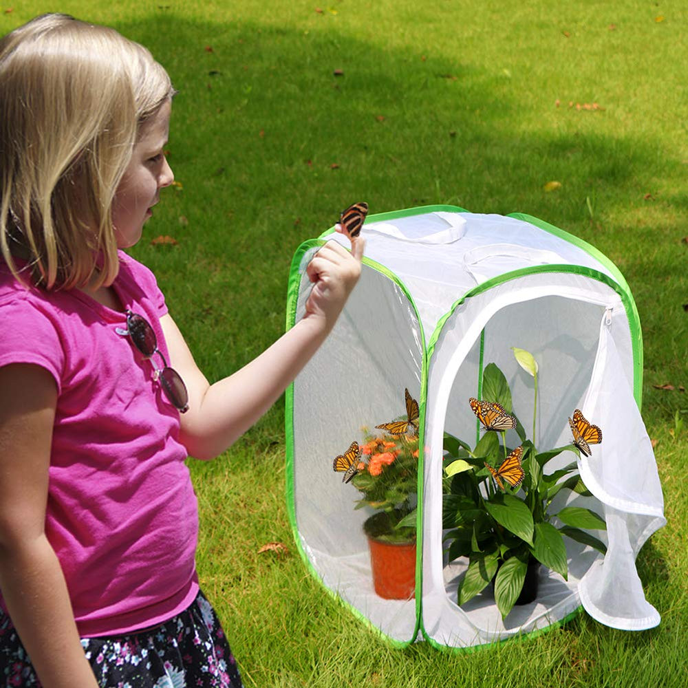 RESTCLOUD habitat cage with five mesh panels for steady airflow during rearing