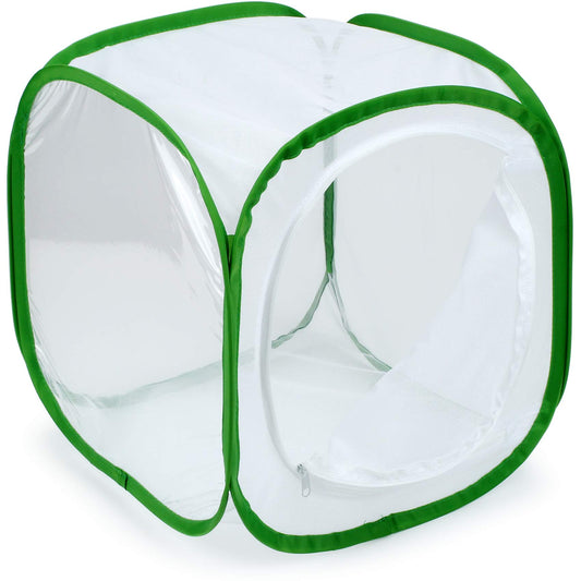 RESTCLOUD butterfly habitat cage with five mesh panels for airflow during rearing.