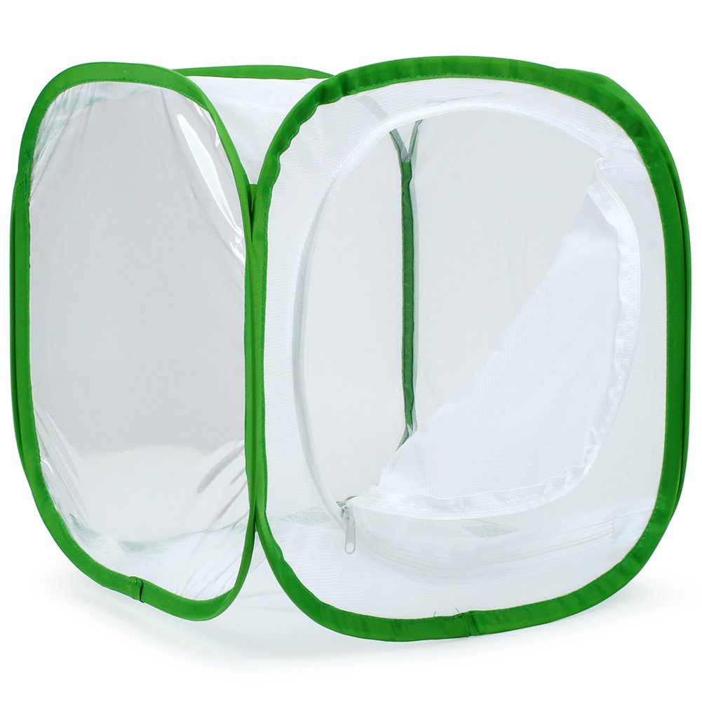 RESTCLOUD clear vinyl window for observing life stages inside the habitat.