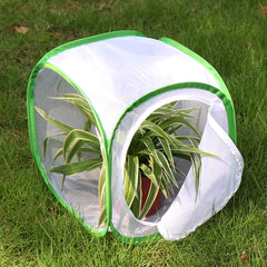 RESTCLOUD collapsible enclosure provides a stable butterfly housing.