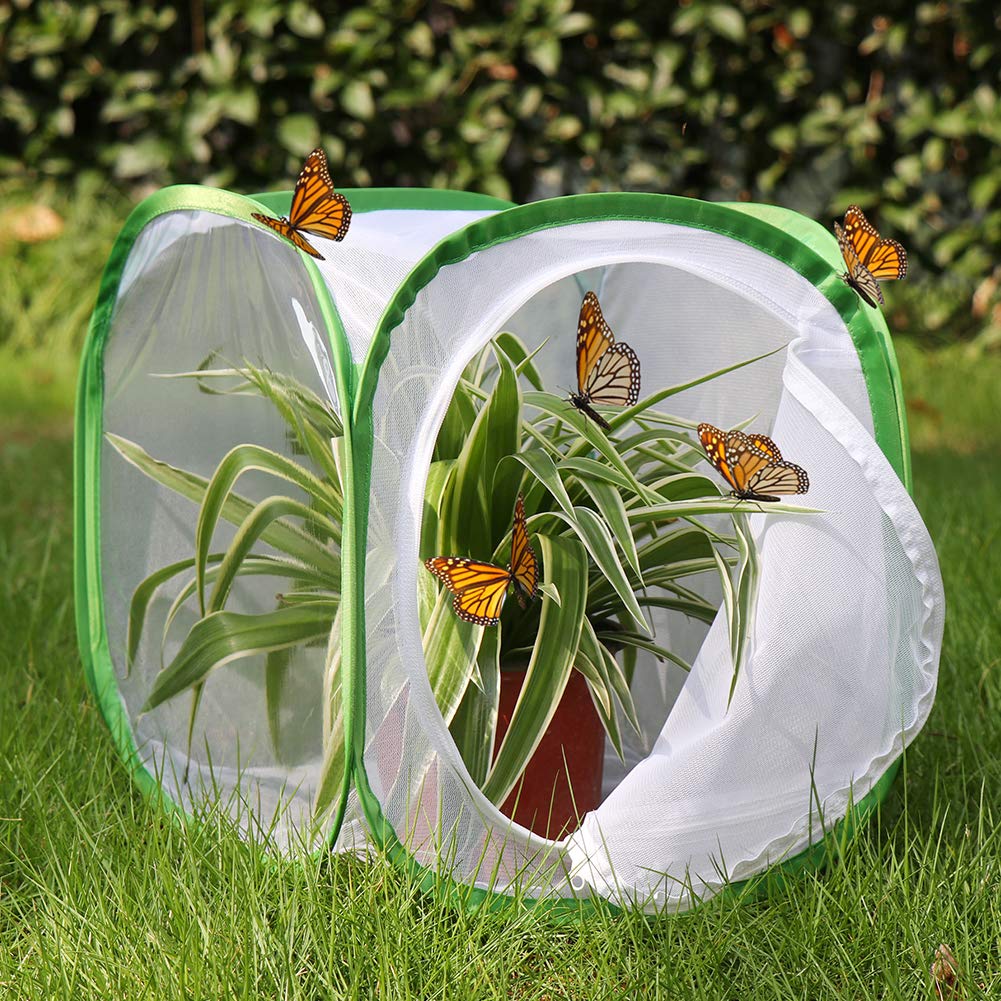 RESTCLOUD insect terrarium pop-up ready for quick setup and storage.
