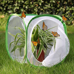 RESTCLOUD insect terrarium pop-up ready for quick setup and storage.